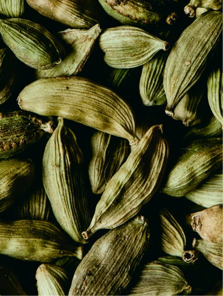 Gel Lavant Mains & Corps, Gingembre & Cardamome Fumée